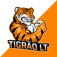 tigraolt's Twitch profile picture