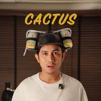 tiwcactus's Twitch profile picture