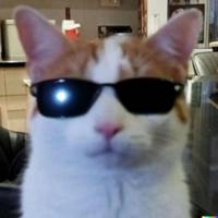 tizzyyfps's Twitch profile picture