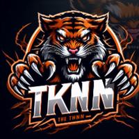 tknn_'s Twitch profile picture