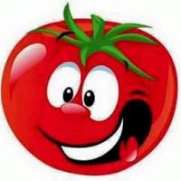 tomattefrito's Twitch profile picture