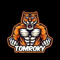 tomroky's Twitch profile picture