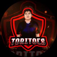 toritocs's Twitch profile picture