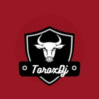 toroxdj's Twitch profile picture
