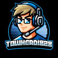 towhead1828's Twitch profile picture