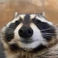 trashpandafn's Twitch profile picture