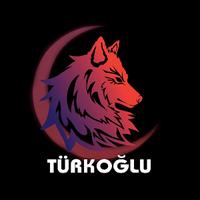 turkogluu's Twitch profile picture