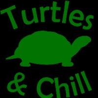 turtlesandchill's Twitch profile picture