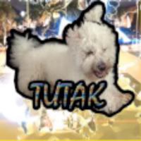 tutak__'s Twitch profile picture