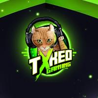 txkeogaming's Twitch profile picture