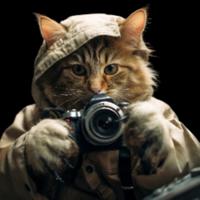 urinmypov's Twitch profile picture