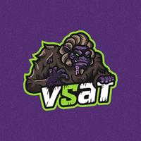 v5at's Twitch profile picture