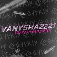 vanysha2221's Twitch profile picture