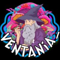 ventania__'s Twitch profile picture