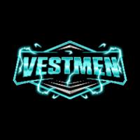 vestmen's Twitch profile picture