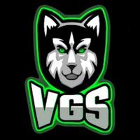 vgs_vallck134's Twitch profile picture