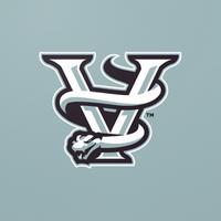 vicishh's Twitch profile picture