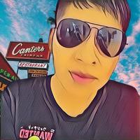 vidalcitogamer's Twitch profile picture