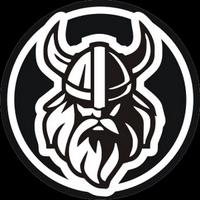 vikinggame1995's Twitch profile picture