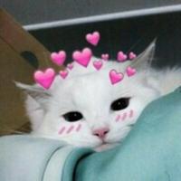 viresuscs's Twitch profile picture