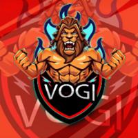 vogi19's Twitch profile picture