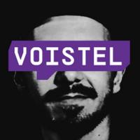 voistel's Twitch profile picture