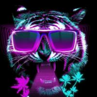 vokroul's Twitch profile picture
