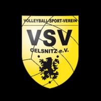 vsv_oelsnitz's Twitch profile picture