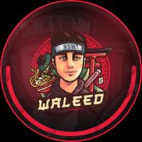 waleed2's Twitch profile picture