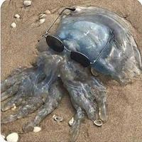 wavewarrior's Twitch profile picture