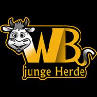 wbsjungeherde's Twitch profile picture