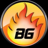 wernerburninggamersde's Twitch profile picture