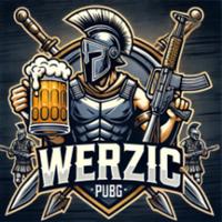 werzic's Twitch profile picture