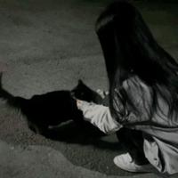 willkaa's Twitch profile picture