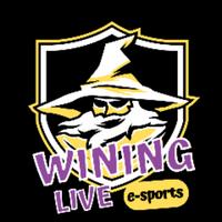 wininglive's Twitch profile picture
