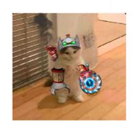wisperdota's Twitch profile picture