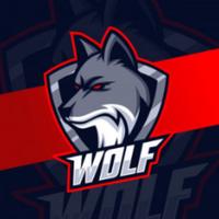 wolfteam770's Twitch profile picture