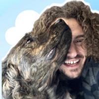wookrook's Twitch profile picture