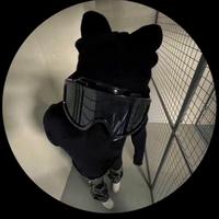 wyascooby's Twitch profile picture