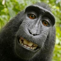xdddddxppp's Twitch profile picture