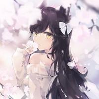 xenoisgaming's Twitch profile picture