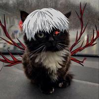 xenosxb's Twitch profile picture