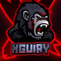 xguiry's Twitch profile picture