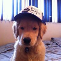 xrfuego's Twitch profile picture