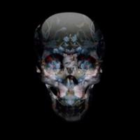 ziohmuk's Twitch profile picture