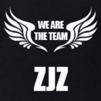 zjz510's Twitch profile picture