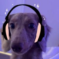 zuuzuttv's Twitch profile picture