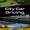 City Car Driving's game picture on Twitch