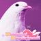 Hatoful Boyfriend's game picture on Twitch