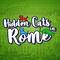 Hidden Cats in Rome's game picture on Twitch
